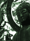jdubbtechno's profile picture. ambient.dub.techno.deephouse
