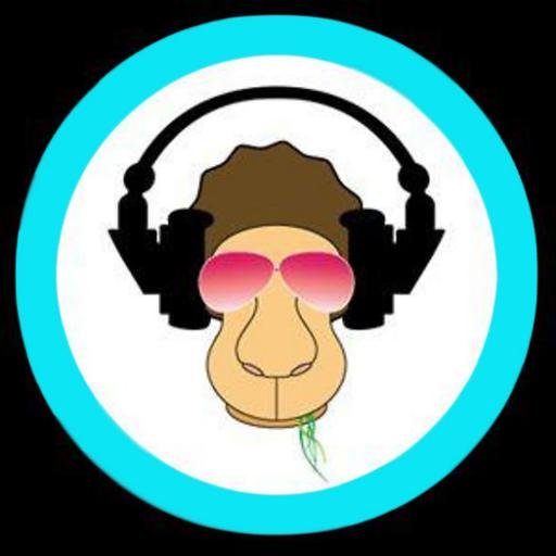 DJ / PRODUCER / REMIXER / RADIO HOST & MODERN HIPPIE FROM ROTTERDAM    ✈worldwide bookings✈ contact: djpaulsheep@gmail.com