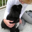 Sherri Kidd - @sherrikidd_kidd - Twitter