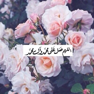 اللهم صل وسلم على سيدنا محمد