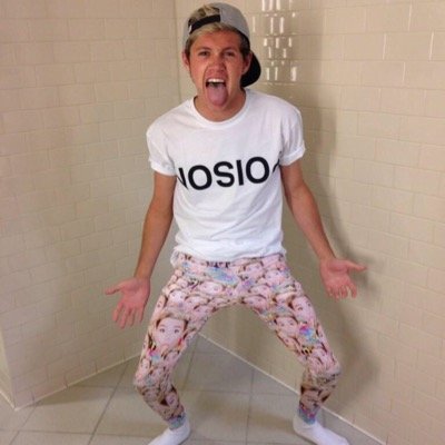 I wanna make cookies with @Niallofficial || Those dorks who complete my life... 0/5 ||