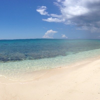 海を求めてどこにでも行きます。スキューバダイビング好き。今年の夏はウミガメと泳いできました。
