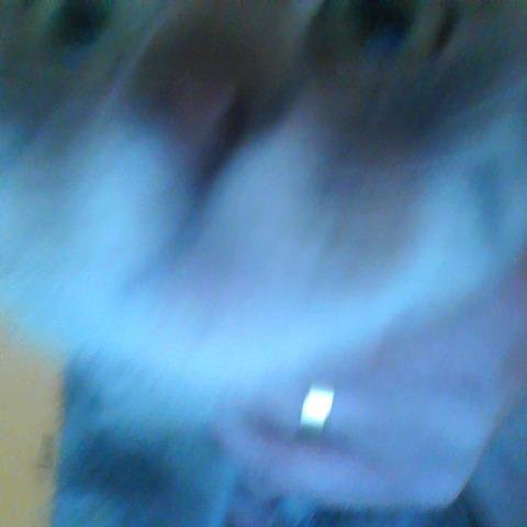 houseofpame Profile Picture