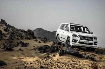 3zo2882's profile picture. 