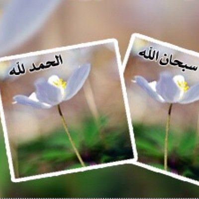 يَآ ربّ .. إنّ لم آكُن آخلَصت فيّ طآعتِگ فإننّي آطمَع فيّ رِحمتك