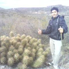 SalinaVito's profile picture. 