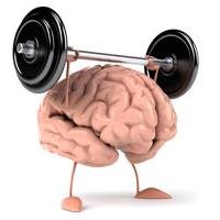 braintrainingcl Profile Picture
