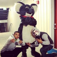 too_turnt_koala (@subtweetmefools) 's Twitter Profile