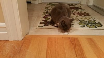 1_8685's profile picture. 