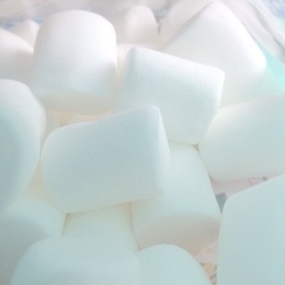H27卒←筑波芸専書←水戸一高←友部