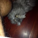 anibal martin abrant - @anibalpi - Twitter