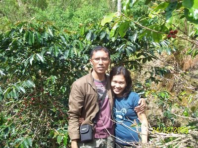 Mari Berkicau Seperti Kicauan Sese Di Harangan
