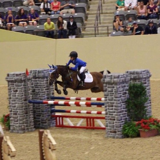 Primarose7's profile picture. My name is Prima and I currnelty show in the Pony Jumpers and Child Adult Jumpers with my pony Just One Look. I am also showing my moms horse Miss Valken.