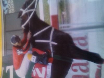 pimenton214's profile picture. que dios los ilumine