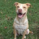 Kendra Wright - @kendralea57 - Twitter