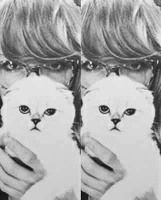 Follow @swiftcanshake instead of this fab acc.