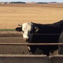 Travis Koehler - @tmrfarms - Twitter