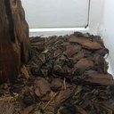 Eli Bass - @ebass110802 - Twitter