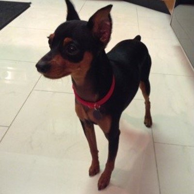 EnzoLanzaAndCo's profile picture. 