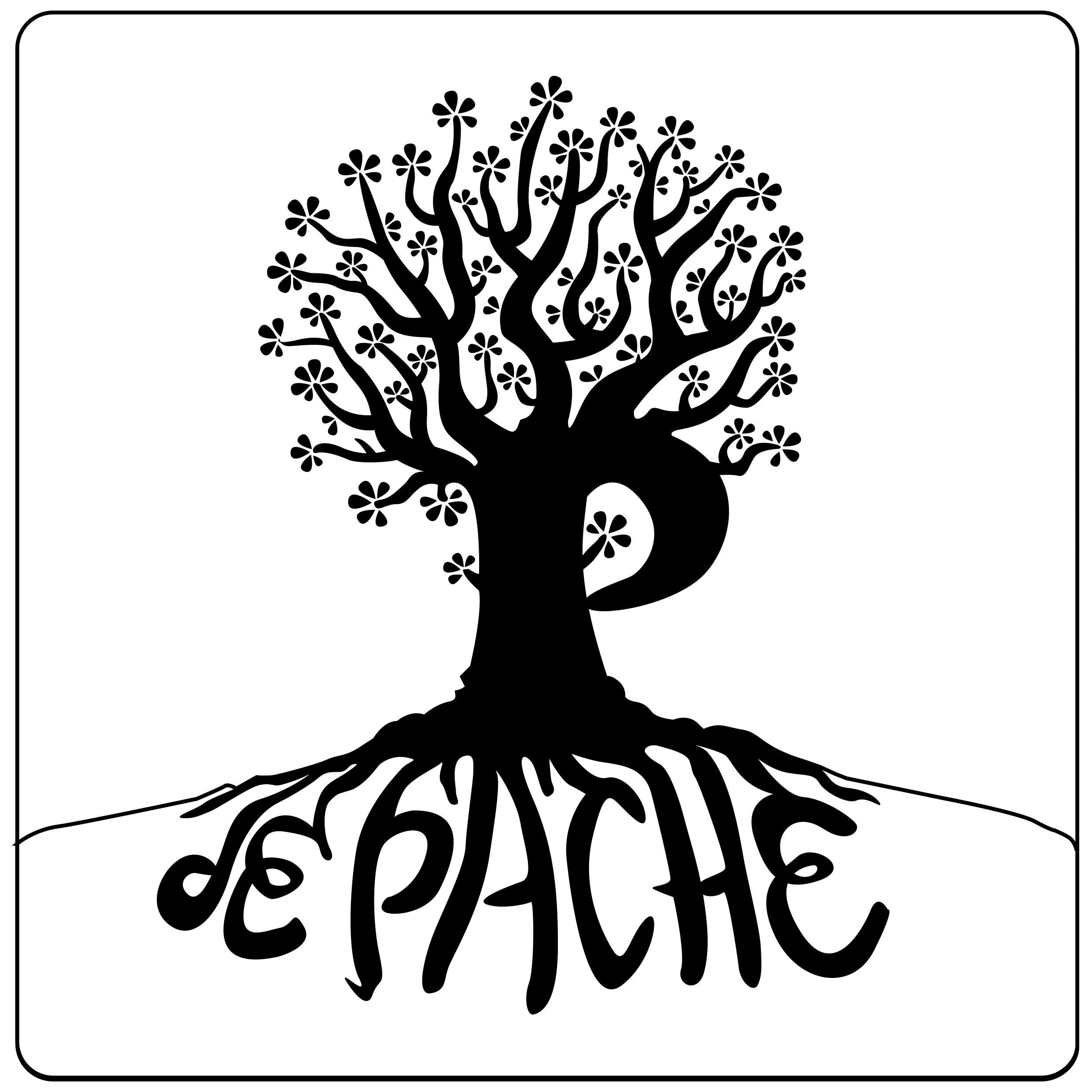 0_Pache's profile picture. I've things inside I've been living since 100 years or more I can't remember I'm gonna try to share everything before to go away again music poetry dance