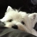 Derek Chew - @chewdp208 - Twitter