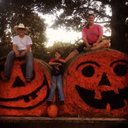 Lynn Worley - @lynn_crzcrtrdr - Twitter