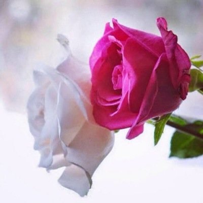 آلدنيآ قصه خرآفيه آحدآثهآ آغرب من آلخيآل تتحدث عن آلبقآء ولآشي فيهآ يدوم ادخل وصل على النبي #اللهم صل على محمد وال محمد