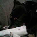 Grace Willard - @willard_grace - Twitter