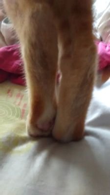 medos_111's profile picture. Se graduó por fin. Deixou de aprender linguas extrangeiras...