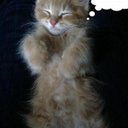 Robert johnstone - @Classicgayman - Twitter