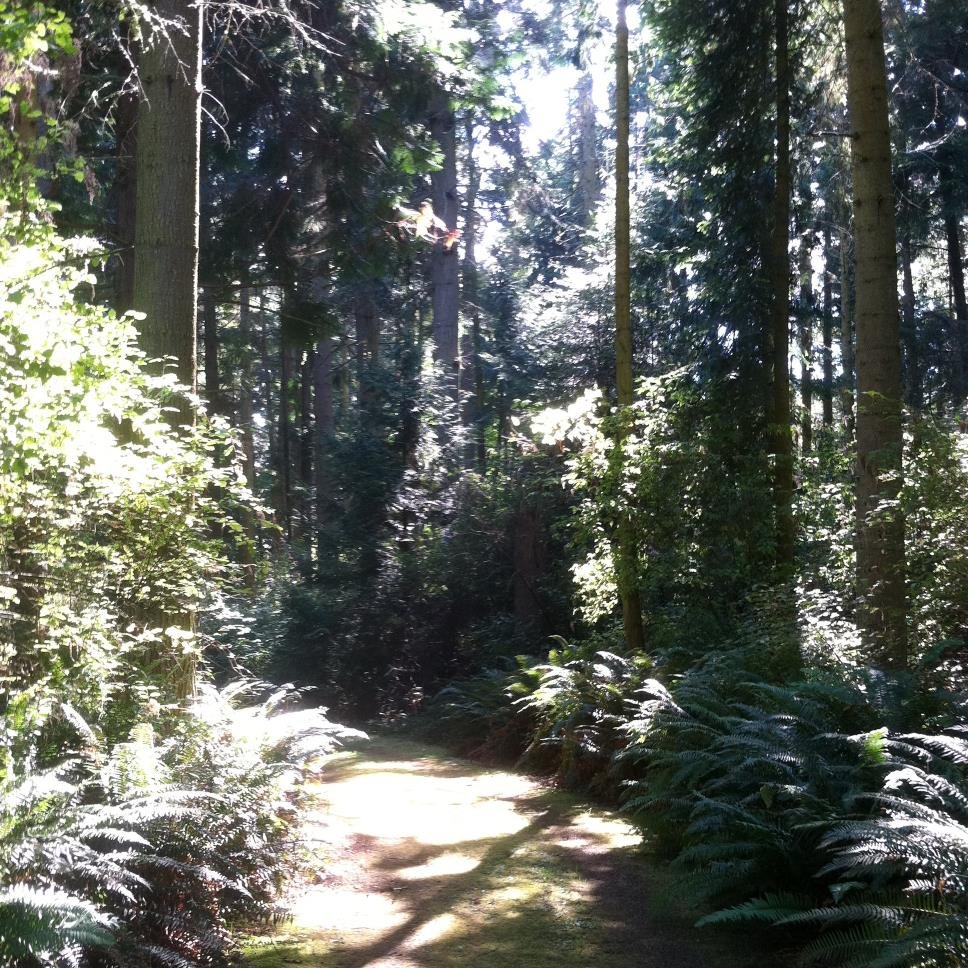 Peer-to-peer support group for survivors of suicide loss meeting monthly @ Redmond Library 7 - 8:30pm. http://t.co/QKIDW0lCGD for dates