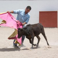 David A. Herrera (@david_a_herrera) 's Twitter Profile