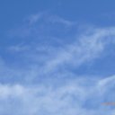 Shirley Go - @Shirley0000000 - Twitter