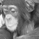 Daniel Schenker - @DaNi_Schenker - Twitter