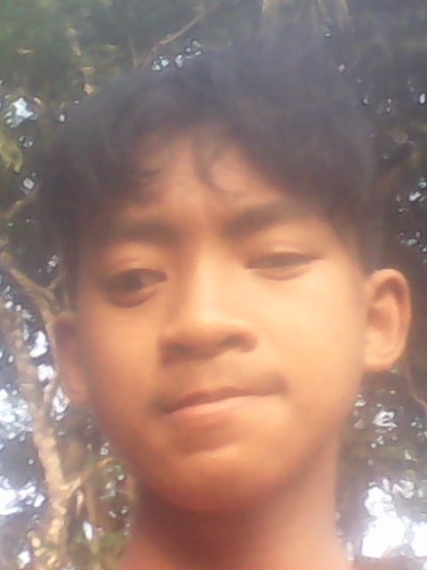 andikat520's profile picture. 