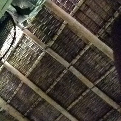 chellgepigon's profile picture. 