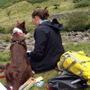 Anne Busch - @loonymaroony - Twitter