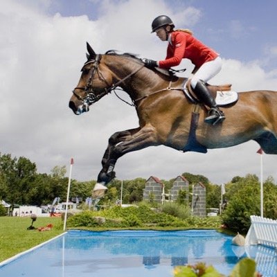 Information and listings for Showjumping, Dressage and Cross-Country meetings across the South East of England.