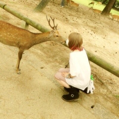 金爆・アンリ・ギルド お取引専用。ゆうちょお取引可能です。 手渡し→11/28アンリ@恵比寿