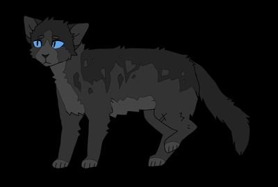 I'm ashclaw  .. I'm a shy she cat and a loner.. my parents are death  . . I'm alone and surching for someone to talk with.. #warriorcats #RP #Loner #Shecat #Sin