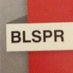 BLS Public Relations (@blspr) Twitter profile photo