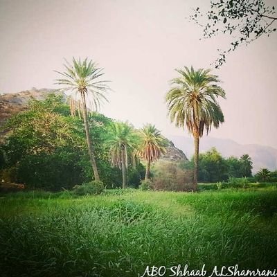 آلابتسامه والكلمات آلجميله هدايا بسيطة يبقى آثرها في آلقلوب للابد.... ♡