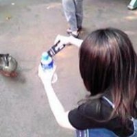 ひろ(๑˃̵ᴗ˂̵) (@zero2_one) 's Twitter Profile