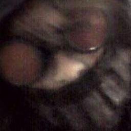 i was a misfit till sndjfnrn sorry i twitched but as i was saying i was a misfit till i met slender man and the others i love waffles and my wepon o choice is a