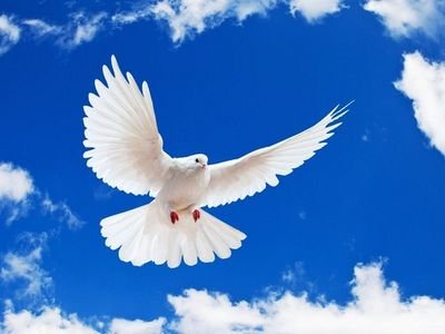 ‏سبحان الله♡...والحمدلله♡...ولا إله إﻻ الله♡...والله أكبر♡...