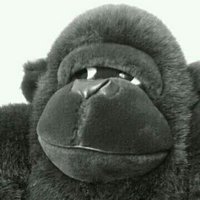 Ging Gong (@der_hofnarr) 's Twitter Profile Photo