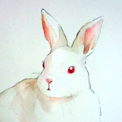 はるつぼさんのプロフィール画像