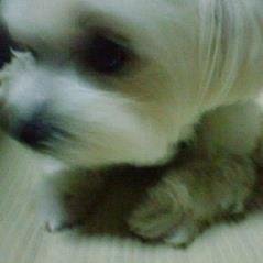 mokuren74's profile picture. 気ままにJIN! JIN!