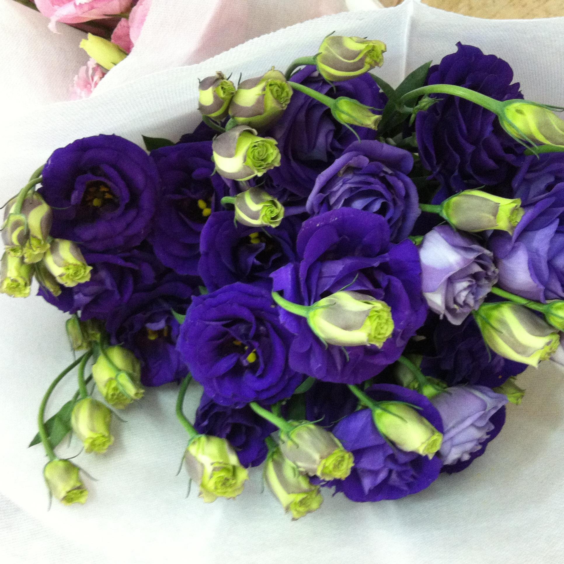 TensyYuen's profile picture. University graduates, Social Worker and pens seller