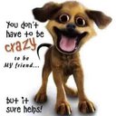 Austin Geyer - @GeyerAustin - Twitter